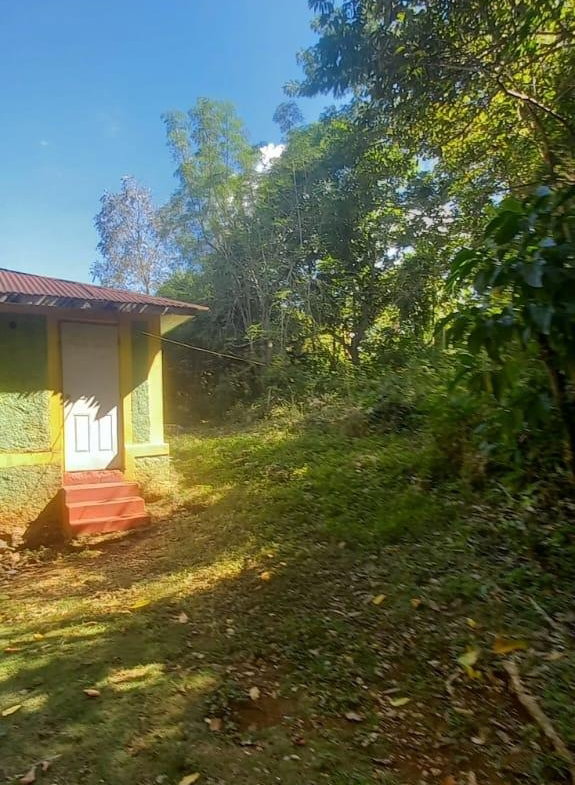 Fourteenth image of Spring Grove Road in Porus, Manchester, Jamaica - property is For Sale