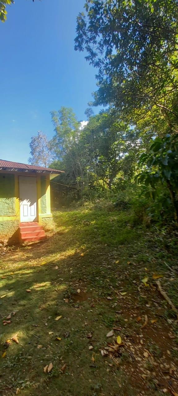 Fourteenth image of Spring Grove Road in Porus, Manchester, Jamaica - property is For Sale