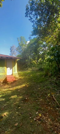Fourteenth image of Spring Grove Road in Porus, Manchester, Jamaica - property is For Sale