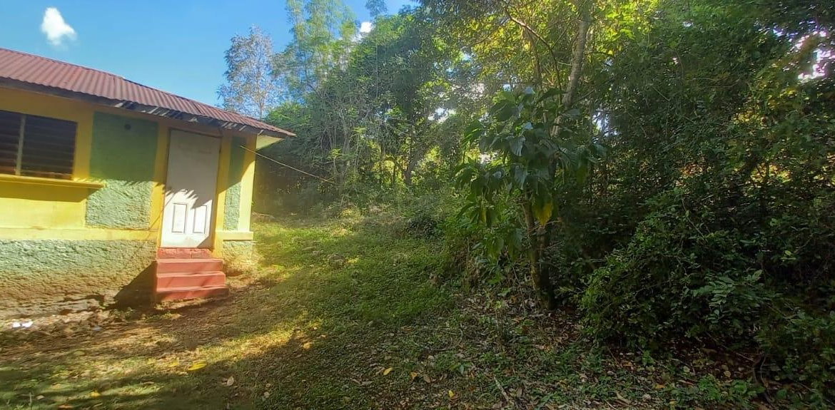 Fifteenth image of Spring Grove Road in Porus, Manchester, Jamaica - property is For Sale