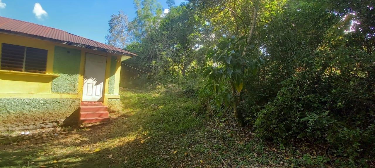 Fifteenth image of Spring Grove Road in Porus, Manchester, Jamaica - property is For Sale