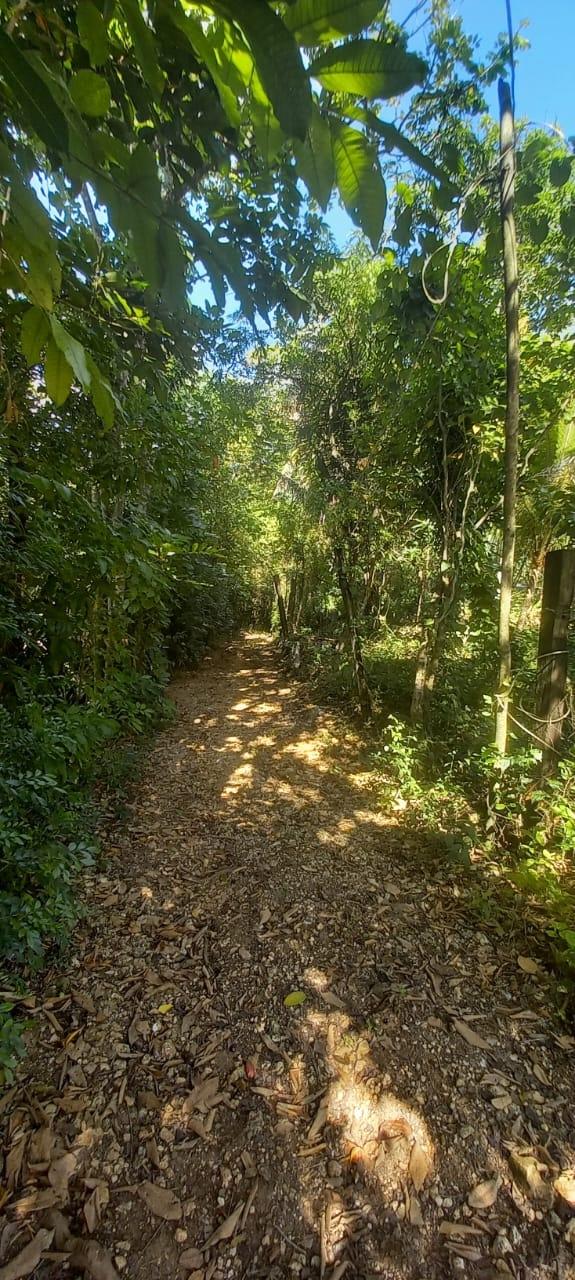 Sixteenth image of Spring Grove Road in Porus, Manchester, Jamaica - property is For Sale