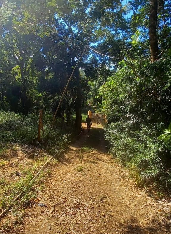 Seventeenth image of Spring Grove Road in Porus, Manchester, Jamaica - property is For Sale