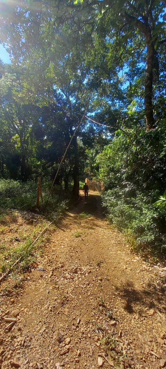 Seventeenth image of Spring Grove Road in Porus, Manchester, Jamaica - property is For Sale