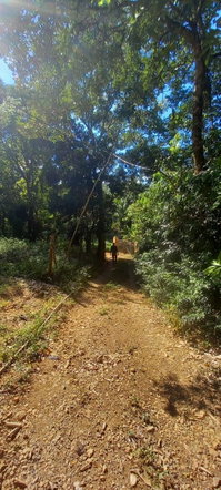 Seventeenth image of Spring Grove Road in Porus, Manchester, Jamaica - property is For Sale