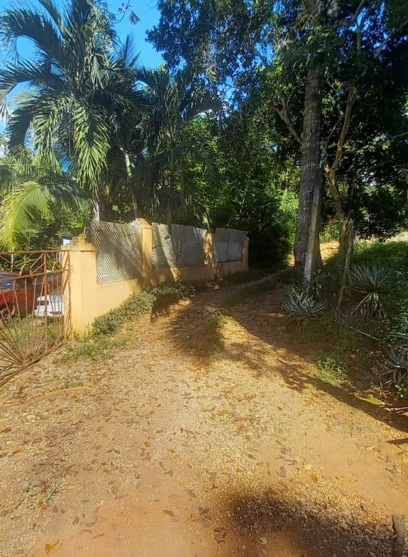 Eighteenth image of Spring Grove Road in Porus, Manchester, Jamaica - property is For Sale