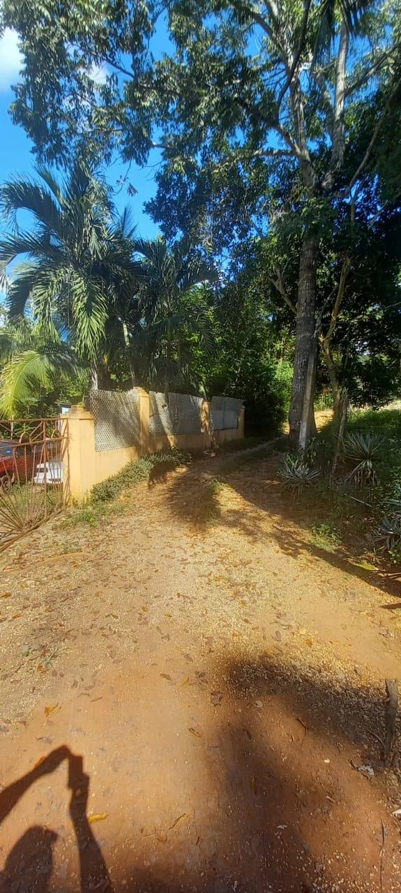 Eighteenth image of Spring Grove Road in Porus, Manchester, Jamaica - property is For Sale