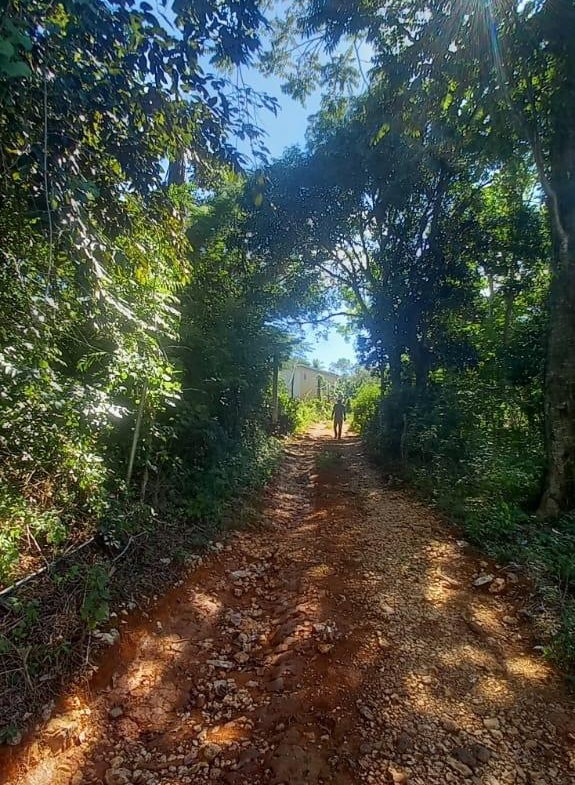 Nineteenth image of Spring Grove Road in Porus, Manchester, Jamaica - property is For Sale