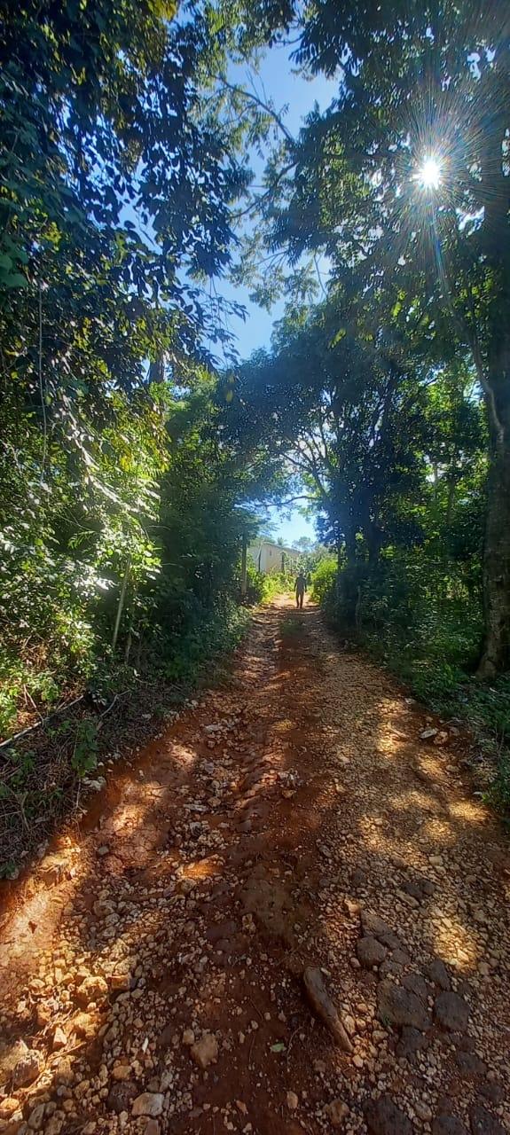 Nineteenth image of Spring Grove Road in Porus, Manchester, Jamaica - property is For Sale