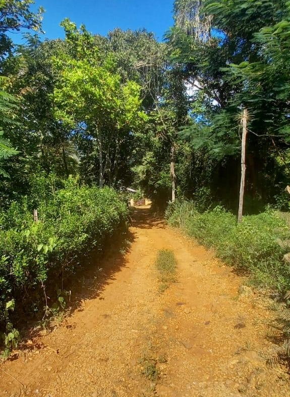 Twentieth image of Spring Grove Road in Porus, Manchester, Jamaica - property is For Sale