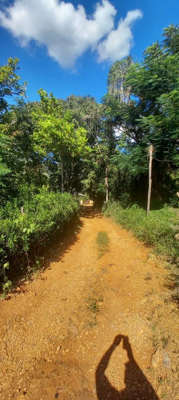 Twentieth image of Spring Grove Road in Porus, Manchester, Jamaica - property is For Sale