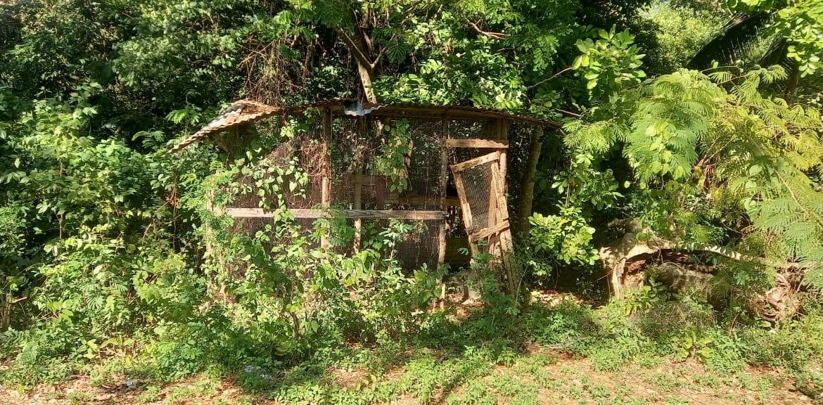 Third image of Spring Grove Road in Porus, Manchester, Jamaica - property is For Sale