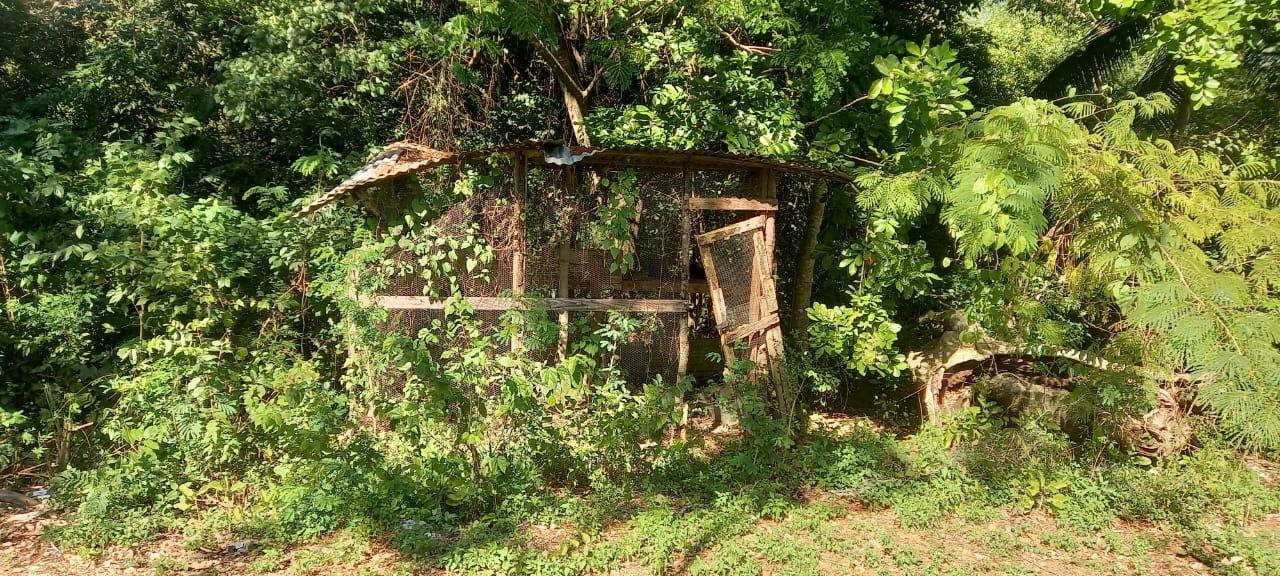 Third image of Spring Grove Road in Porus, Manchester, Jamaica - property is For Sale