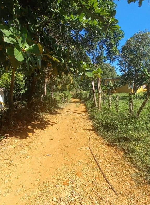 Twenty-Second image of Spring Grove Road in Porus, Manchester, Jamaica - property is For Sale