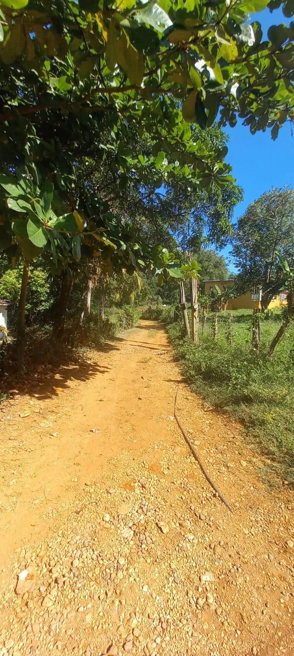 Twenty-Second image of Spring Grove Road in Porus, Manchester, Jamaica - property is For Sale