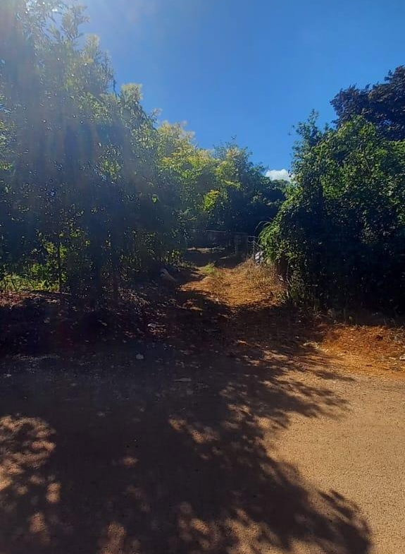 Twenty-Fourth image of Spring Grove Road in Porus, Manchester, Jamaica - property is For Sale