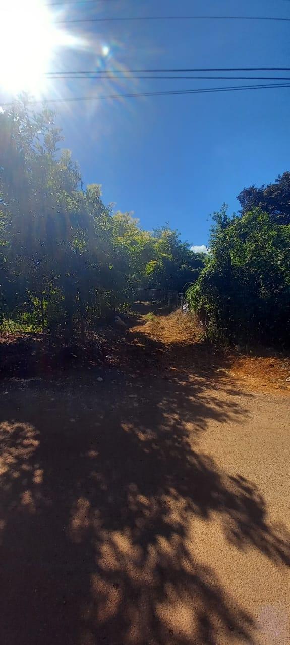 Twenty-Fourth image of Spring Grove Road in Porus, Manchester, Jamaica - property is For Sale