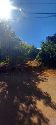 Twenty-Fourth image of Spring Grove Road in Porus, Manchester, Jamaica - property is For Sale
