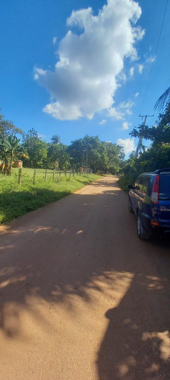 Twenty-Fifth image of Spring Grove Road in Porus, Manchester, Jamaica - property is For Sale