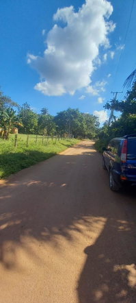 Twenty-Fifth image of Spring Grove Road in Porus, Manchester, Jamaica - property is For Sale