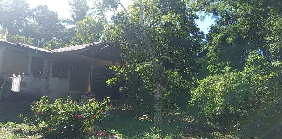 Fifth image of Spring Grove Road in Porus, Manchester, Jamaica - property is For Sale