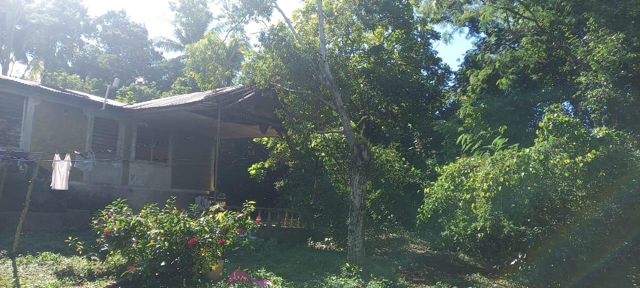 Fifth image of Spring Grove Road in Porus, Manchester, Jamaica - property is For Sale