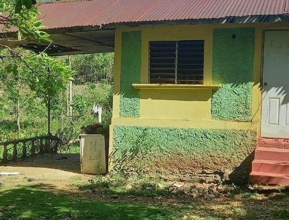 First image of Spring Grove Road in Porus, Manchester, Jamaica - property is For Sale