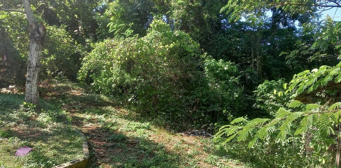 Tenth image of Spring Grove Road in Porus, Manchester, Jamaica - property is For Sale