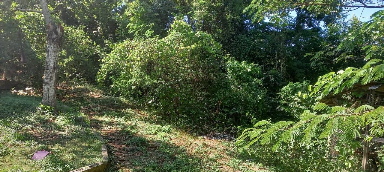 Tenth image of Spring Grove Road in Porus, Manchester, Jamaica - property is For Sale