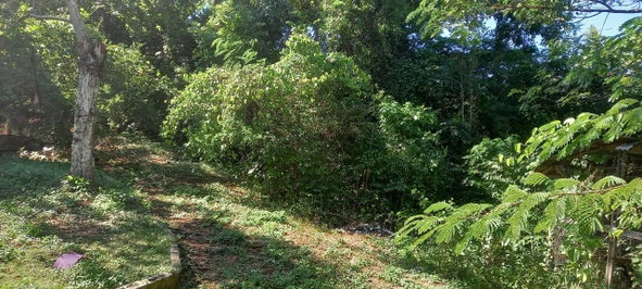 Tenth image of Spring Grove Road in Porus, Manchester, Jamaica - property is For Sale
