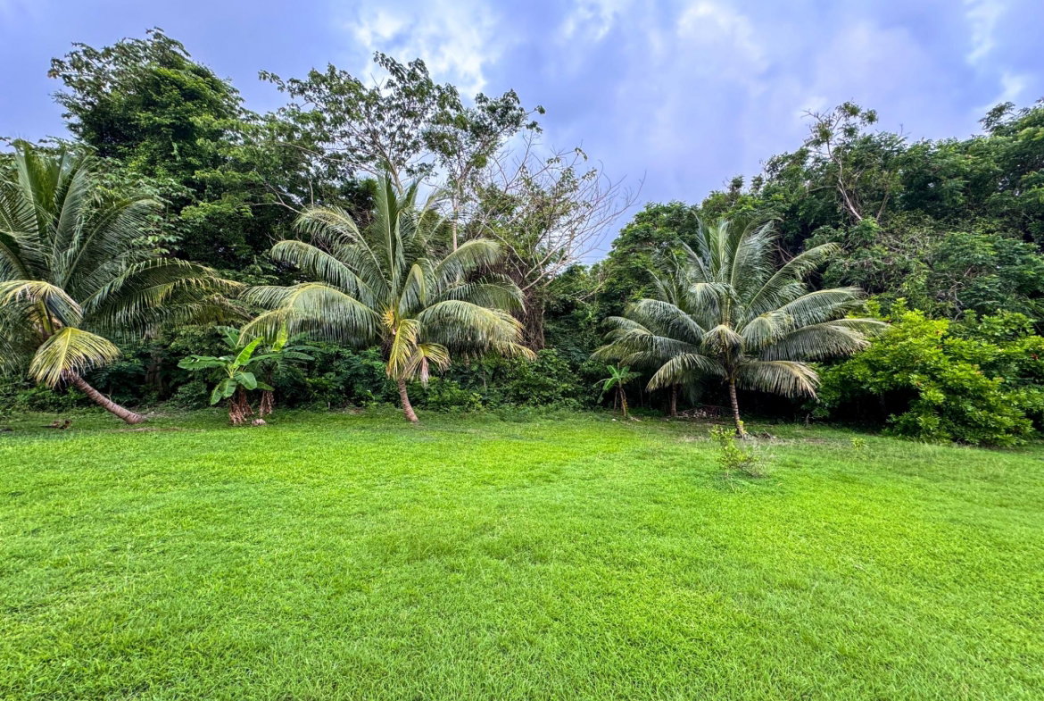 Seventh image of Lot 409 Drax Hall Estate in Drax Hall Estate, St. Ann, Jamaica - property is For Sale