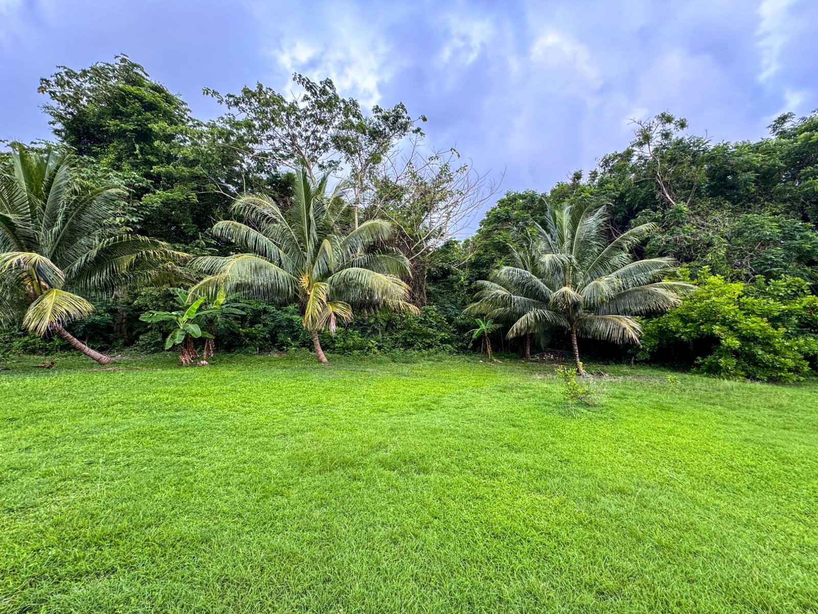 Seventh image of Lot 409 Drax Hall Estate in Drax Hall Estate, St. Ann, Jamaica - property is For Sale