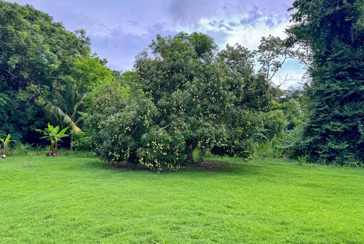 Eighth image of Lot 409 Drax Hall Estate in Drax Hall Estate, St. Ann, Jamaica - property is For Sale