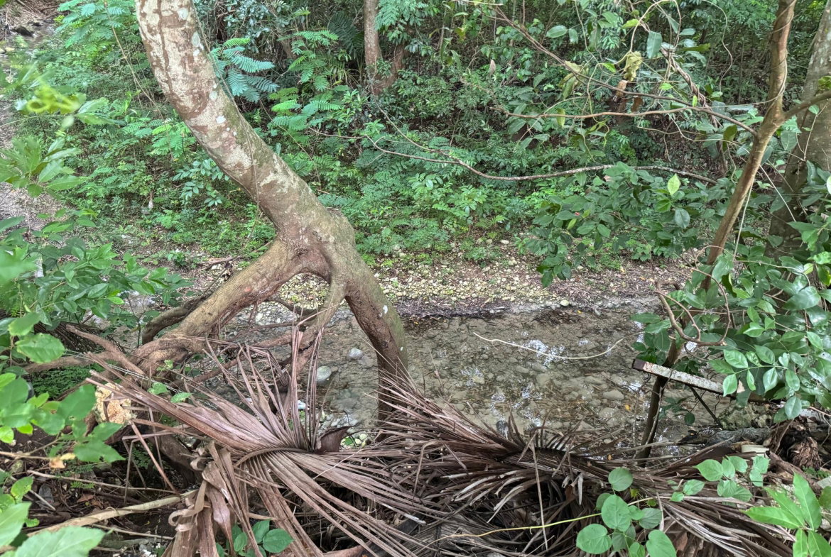 Ninth image of Lot 409 Drax Hall Estate in Drax Hall Estate, St. Ann, Jamaica - property is For Sale