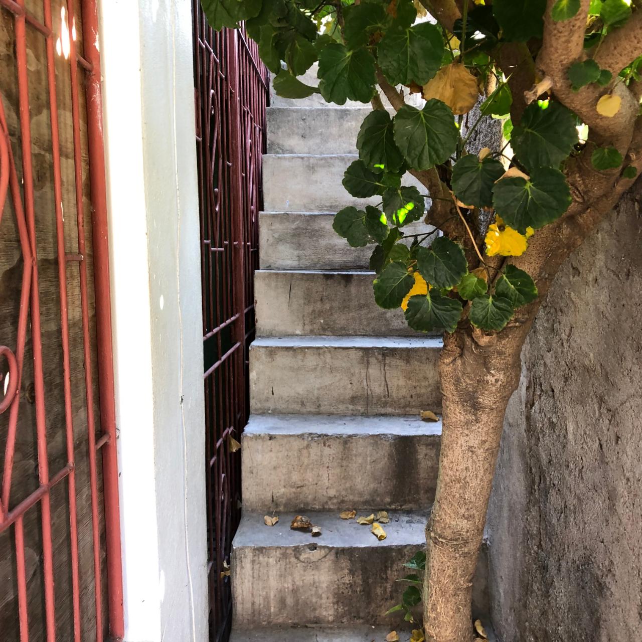Twenty-Fourth image of 4 Kelly Road in Westchester, St. Catherine, Jamaica - property is For Sale