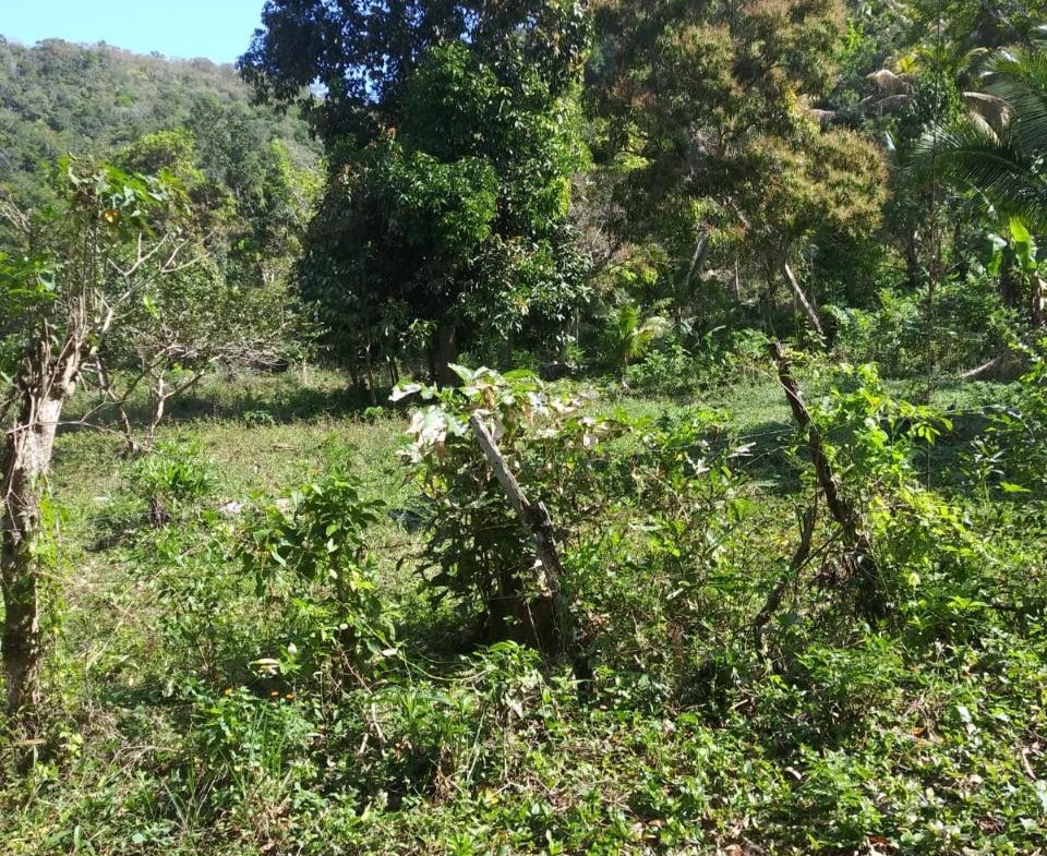 Second image of Evergreen, Manchester in Mile Gully, Manchester, Jamaica - property is For Sale