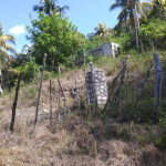 First image of Evergreen, Manchester in Mile Gully, Manchester, Jamaica - property is For Sale