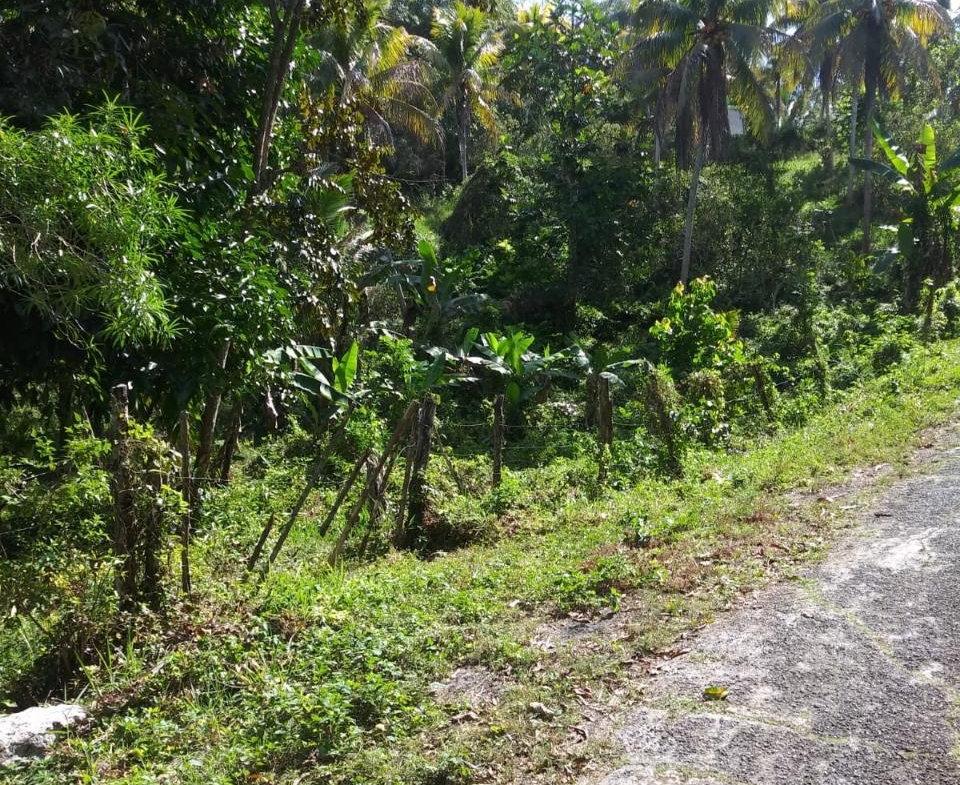 Fourth image of Evergreen, Manchester in Mile Gully, Manchester, Jamaica - property is For Sale