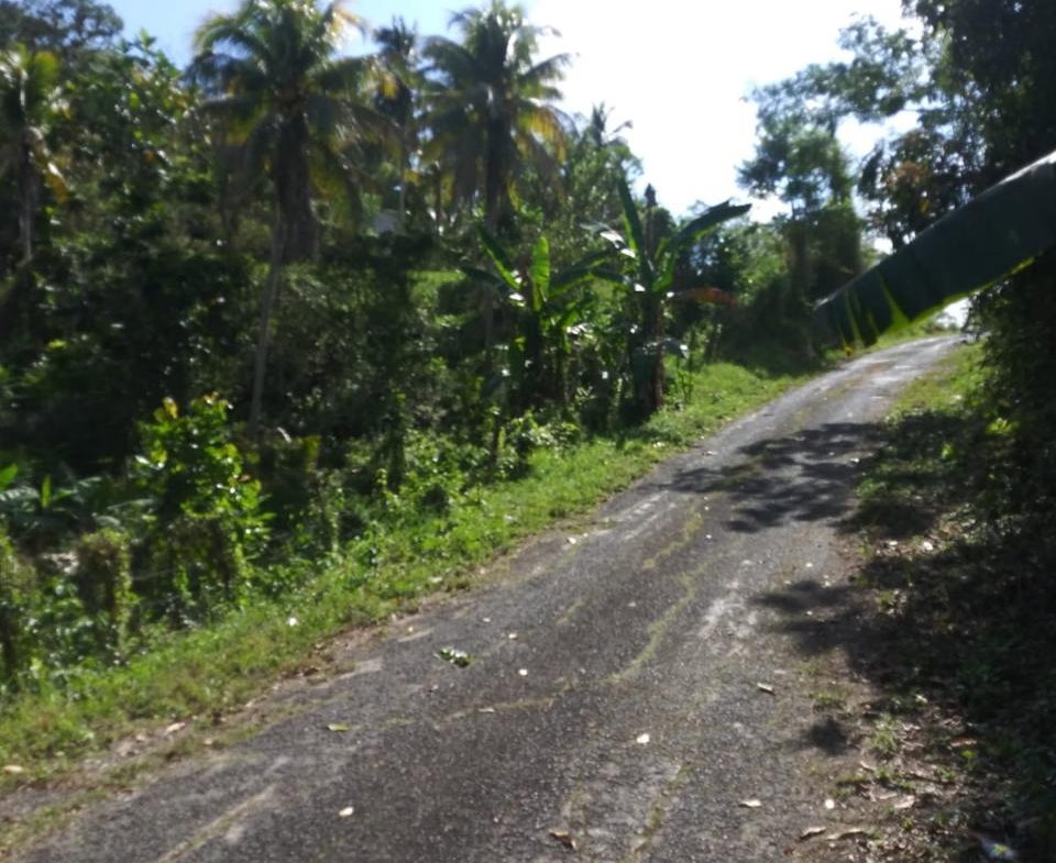 Sixth image of Evergreen, Manchester in Mile Gully, Manchester, Jamaica - property is For Sale