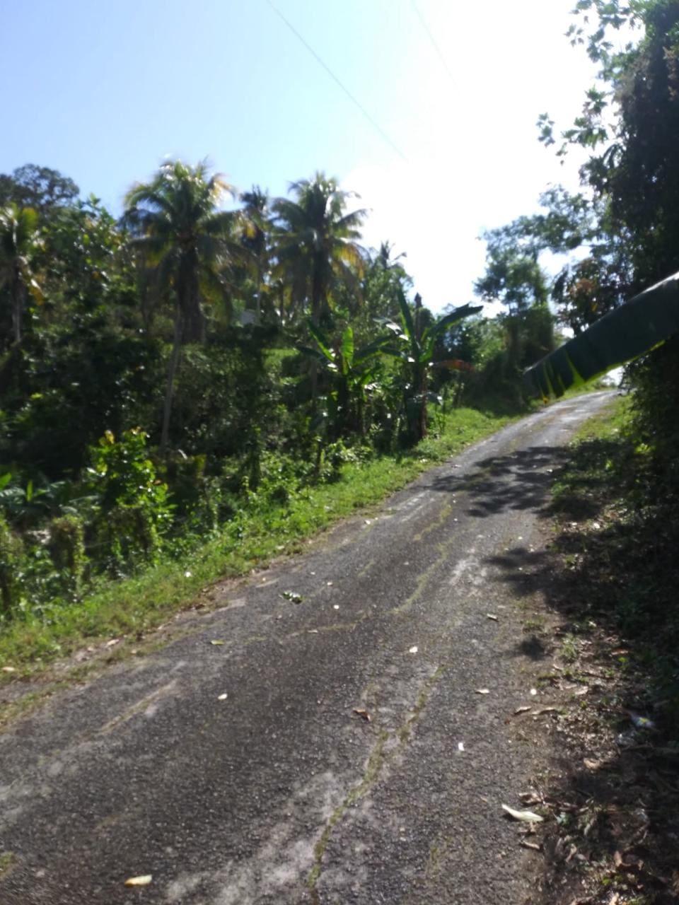 For-Sale-AgriculturalResidential-Land-in-Evergreen-Manchester-Jamaica Sixth image of Evergreen, Manchester in Mile Gully, Manchester, Jamaica - property is For Sale