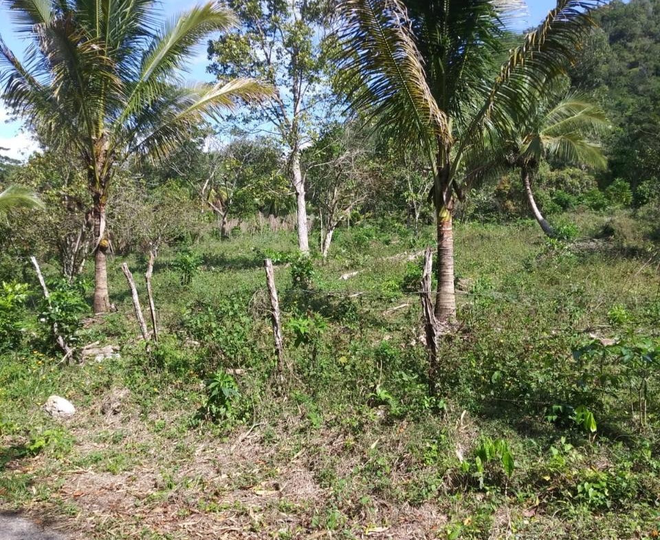 Seventh image of Evergreen, Manchester in Mile Gully, Manchester, Jamaica - property is For Sale