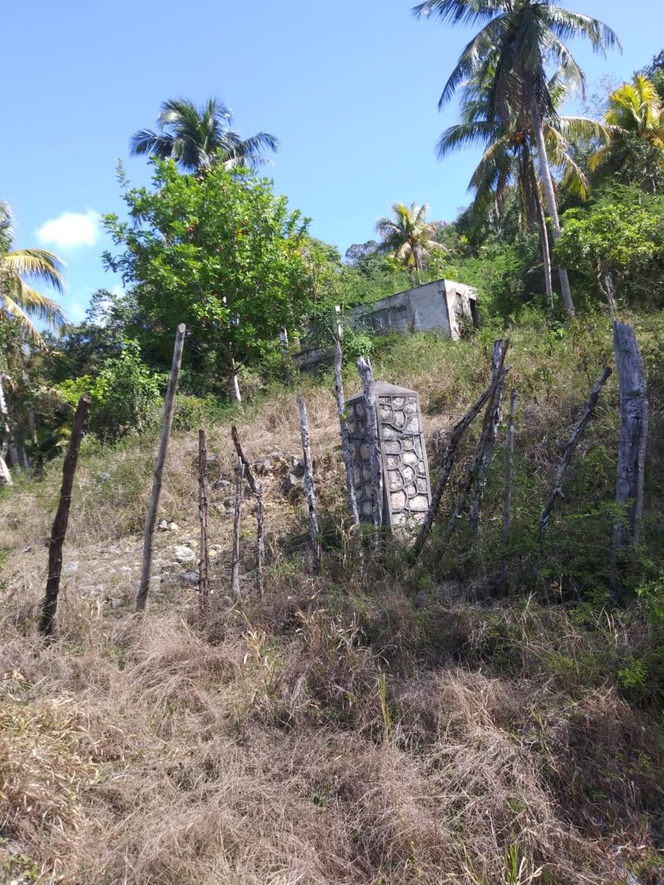 For-Sale-AgriculturalResidential-Land-in-Evergreen-Manchester-Jamaica First image of Evergreen, Manchester in Mile Gully, Manchester, Jamaica - property is For Sale