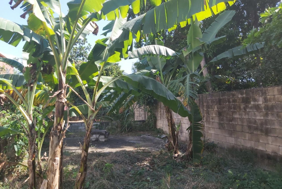 Twelfth image of 6 St. Jago Boulevard in Sligoville, St. Catherine, Jamaica - property is For Sale