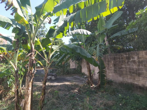 Twelfth image of 6 St. Jago Boulevard in Sligoville, St. Catherine, Jamaica - property is For Sale