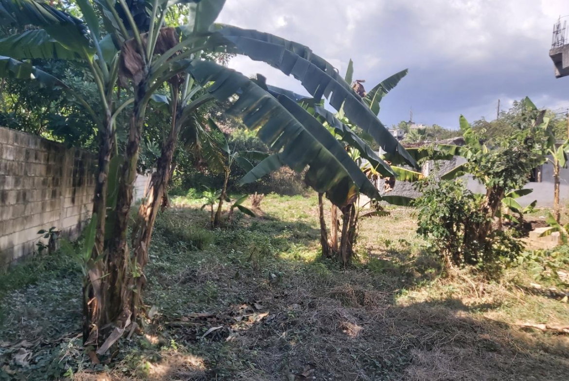 Thirteenth image of 6 St. Jago Boulevard in Sligoville, St. Catherine, Jamaica - property is For Sale