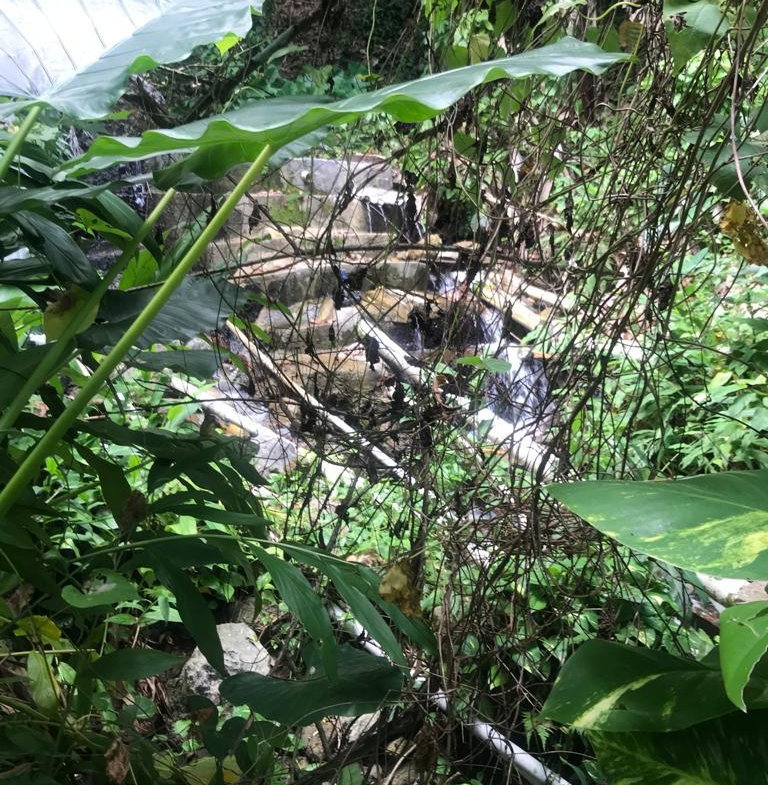 Second image of Fruitfulvale District, po in Fruitful Vale, Portland, Jamaica - property is For Sale