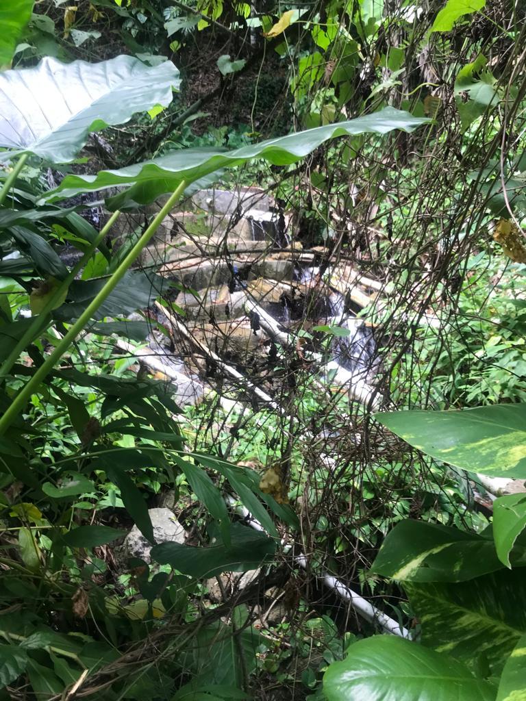 Second image of Fruitfulvale District, po in Fruitful Vale, Portland, Jamaica - property is For Sale