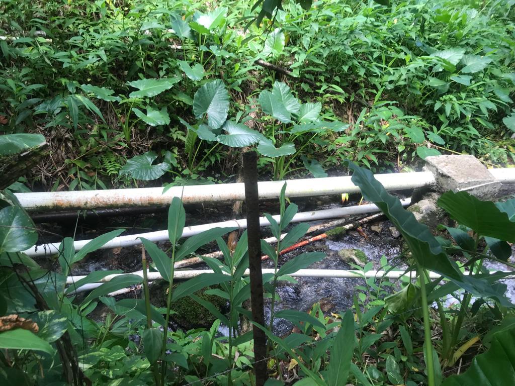 Third image of Fruitfulvale District, po in Fruitful Vale, Portland, Jamaica - property is For Sale