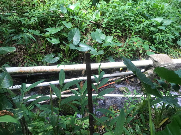 Third image of Fruitfulvale District, po in Fruitful Vale, Portland, Jamaica - property is For Sale
