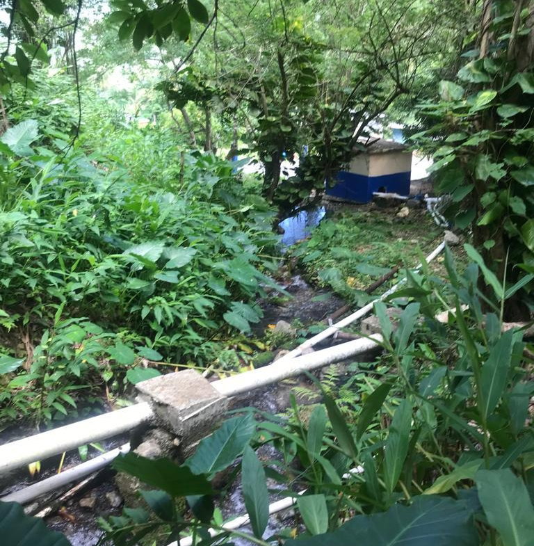 Fourth image of Fruitfulvale District, po in Fruitful Vale, Portland, Jamaica - property is For Sale